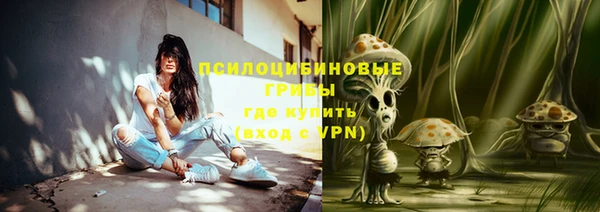 амф Алексеевка