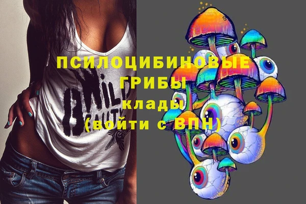 МДПВ Алзамай