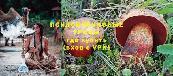 МДПВ Алзамай