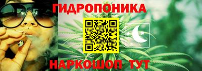 apvp Гай