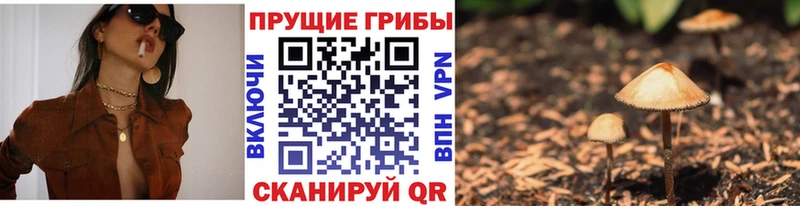 Псилоцибиновые грибы ЛСД  blacksprut tor  Дедовск 