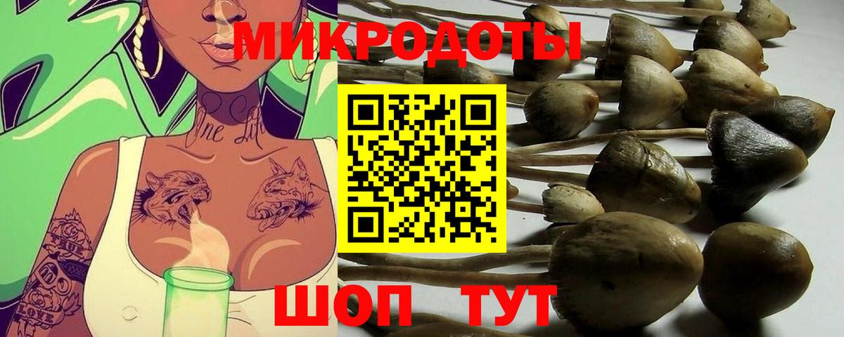 Псилоцибиновые грибы Psilocybe  Вход с VPN  где продают   Дедовск 
