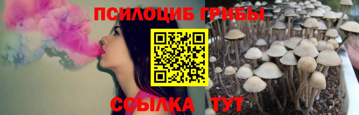Галлюциногенные грибы Cubensis Дедовск